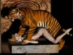 A strong tiger fucking pinned doxy in this episode of animation beastiality